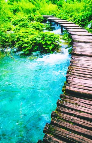 chemin passerelle montagne ruisseau